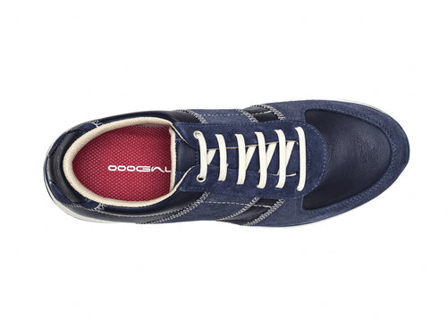 Earth-Line Navy Blue / Cream